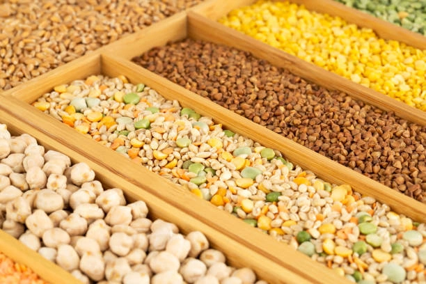 Training on Cereals & Pulses Inspection & Grading