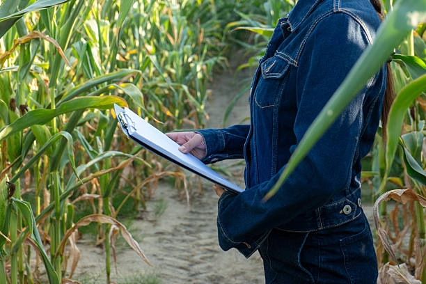 Training on Monitoring and Evaluation for Agriculture and Rural Development