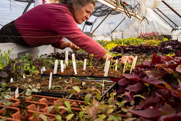 Training on Promoting Entrepreneurship and Agribusiness Development