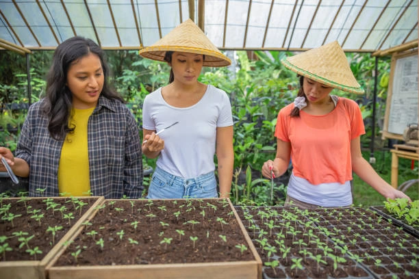 Training on Organic Farming: Sustainable Practices for Agribusiness