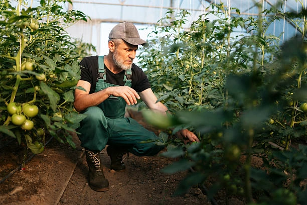 Training on Outcome Harvesting Techniques