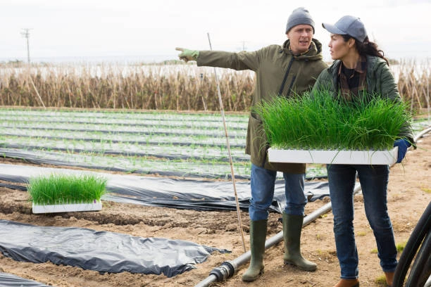 Training on Gender Approaches to Agricultural Extension Practices